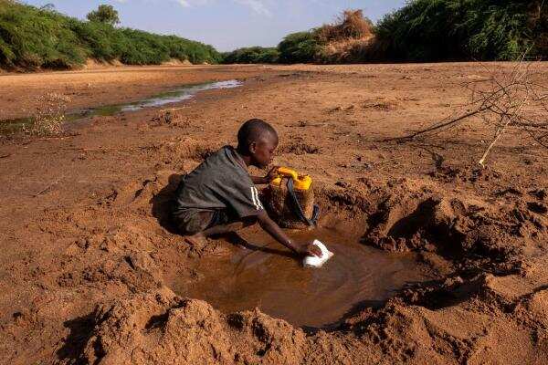 WION Climate Tracker | Historic drought in Horn of Africa raises famine threat