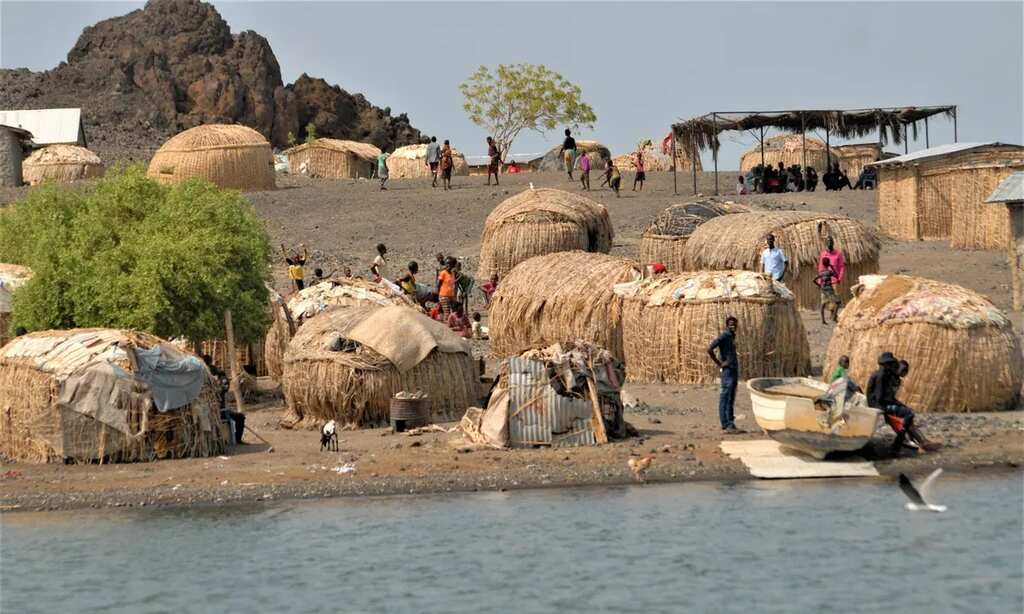 WION Climate Tracker | Rising water levels of Kenya's lake threaten small tribe