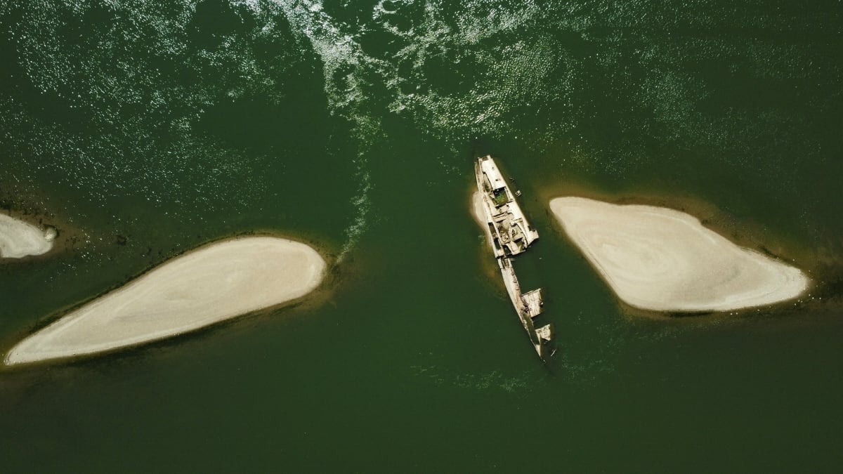 Big ecological disaster