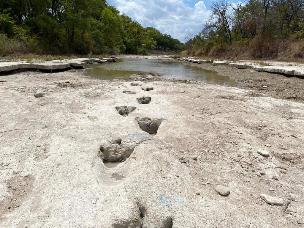 Severe drought uncovers 113-million-year-old dinosaur tracks at Texas park Severe drought uncovers 113-million-year-old dinosaur tracks at Texas park