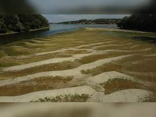 WION Climate Tracker | Europe's Danube river reaches its lowest levels in almost a century