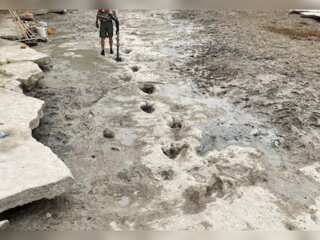 WION Climate Tracker | US drought uncovers dinosaur tracks | Unexploded bombs found in Po river