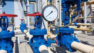 As Russia squeezes supply, Germany inks deal with UAE for gas and diesel