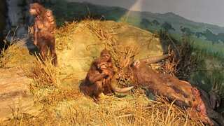 Seven million year old human bone leads to an amazing discovery