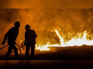 WION Climate Tracker: Blaze continues in Russia's Ryazan; Putin calls for immediate action