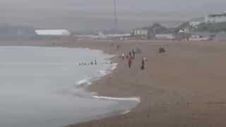 French MEPs outraged by the UK's discharge of raw sewage into the sea