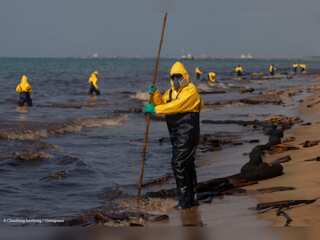 WION Climate Tracker: Oil spill harms beautiful beaches of Baja California