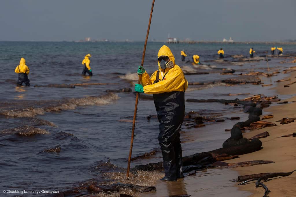 WION Climate Tracker: Oil spill harms beautiful beaches of Baja California