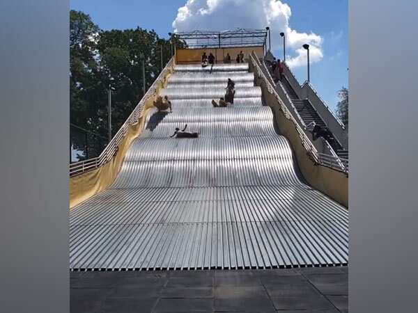 Viral video: Hazardous giant slide in US shut down hours after opening