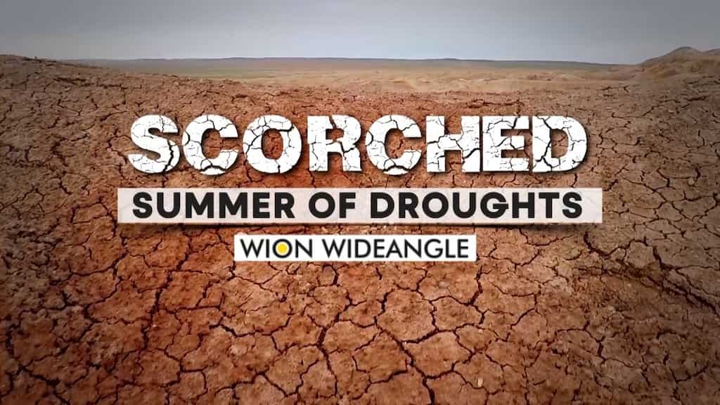 WION WIDEANGLE | Scorched: Summer of droughts