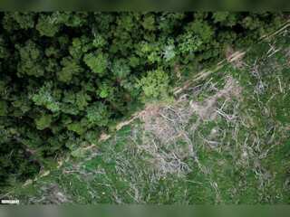 WION Climate Tracker: Europe to launch biomass satellite, will probe through forests