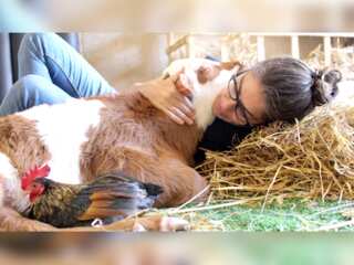 WION takes you inside Tel Aviv's Freedom Farm | Safe haven for abused & rescued animals