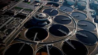 Environmentalists slam British government for releasing sewage into rivers, sea