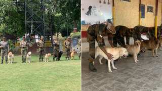 Indian Army's dog squad, a reason for safe and successful anti-terror operations in Jammu & Kashmir