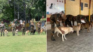 Indian Army's dog squad, a reason for safe and successful anti-terror operations in Jammu & Kashmir