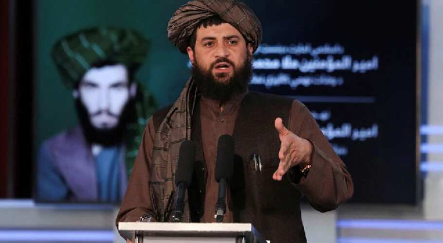 Post Zawahiri's killing, Taliban blames Pak; Yaqoob calls US actions 'a clear violation'