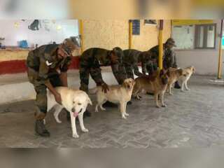 Sniffing out the bad guys: Indian army's dog squad carry out anti-terror operations in J&K