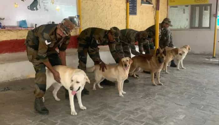 Sniffing out the bad guys: Indian army's dog squad carry out anti-terror operations in J&K