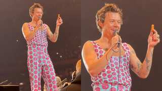 Harry Styles halts MSG show as fan throws chicken nuggets on stage, watch viral video