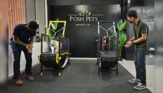 WION Climate Tracker | Dogs 'Beat the Heat' in AC gyms in UAE