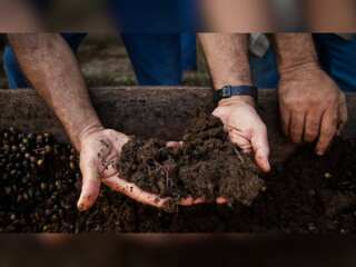 China pushes Sri Lanka to continue with Organic Fertilizer Project