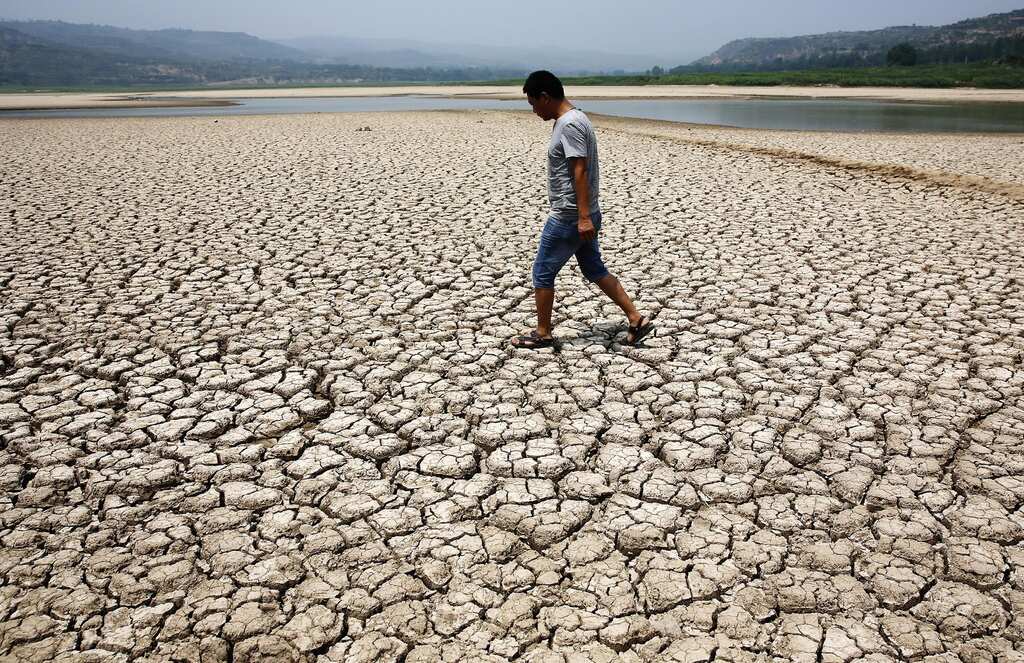 WION Climate Tracker | Global ramifications of China's drought; world stares at more food shortage