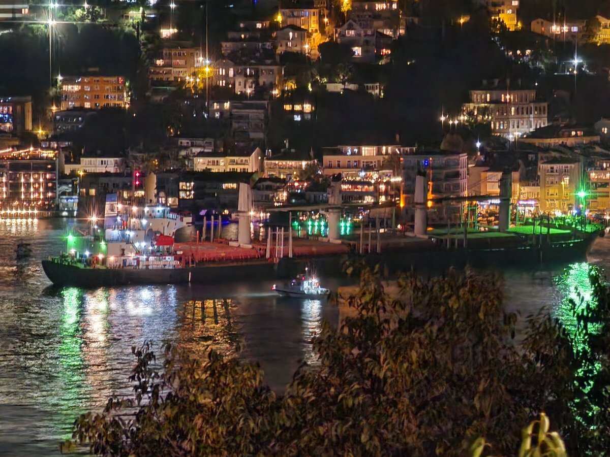 Watch: Ukrainian grain ship grounded in Istanbul, halting traffic on Turkiye's Bosphorus strait Watch: Ukrainian grain ship grounded in Istanbul, halting traffic on Turkiye's Bosphorus strait