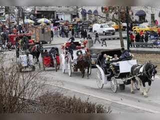 New York may ban horse carriages by 2024, to replace with e-carriages