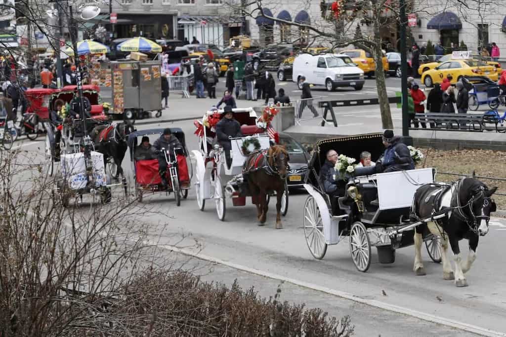 New York may ban horse carriages by 2024, to replace with e-carriages