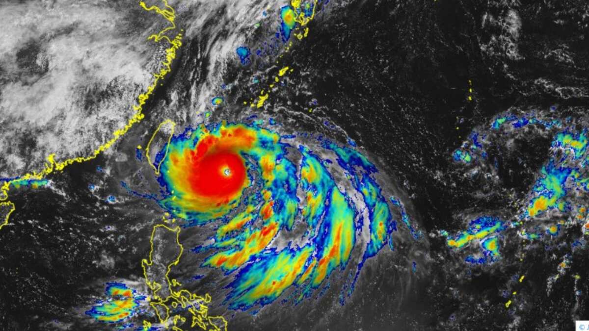 Typhoon Hinnamnor: Japan, China suspend ferry service and flights Typhoon Hinnamnor: Japan, China suspend ferry service and flights