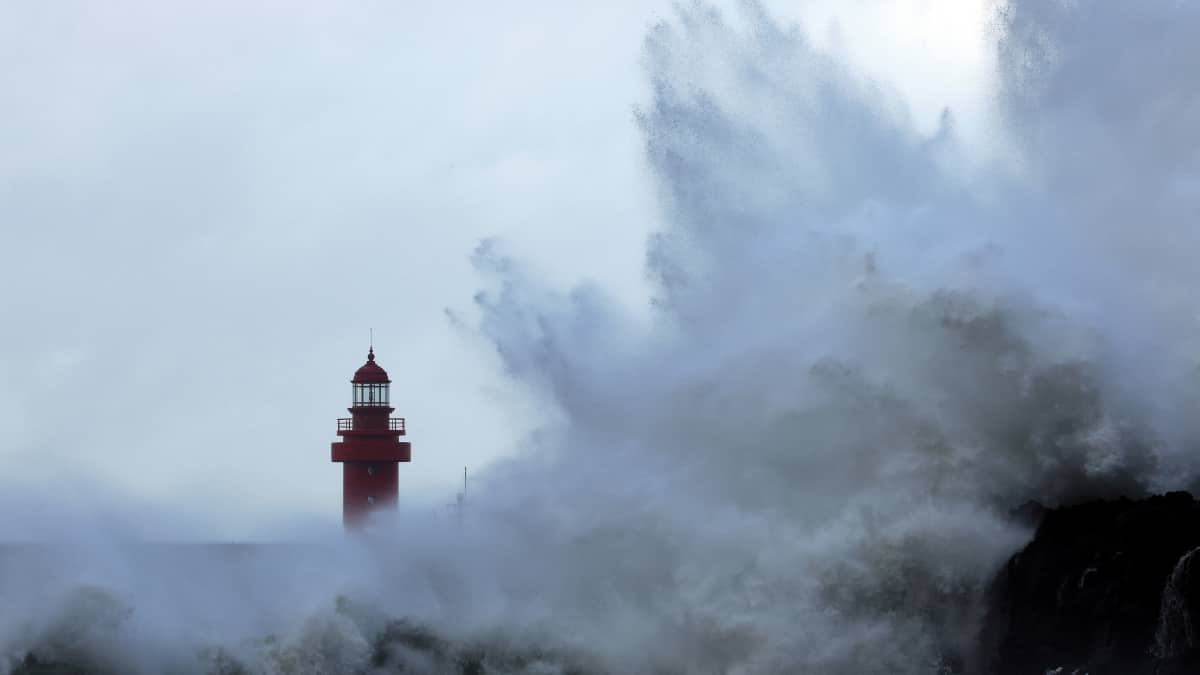 South Korea braces for typhoon Hinnamnor, nuclear power plant and other industries prepare for storm