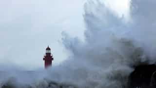 South Korea braces for typhoon Hinnamnor, nuclear power plant and other industries prepare for storm
