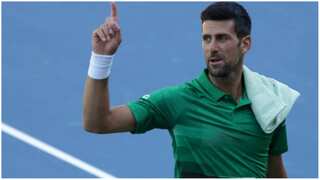 Davis Cup: Novak Djokovic opts out of Serbia's group stage ties for personal reasons