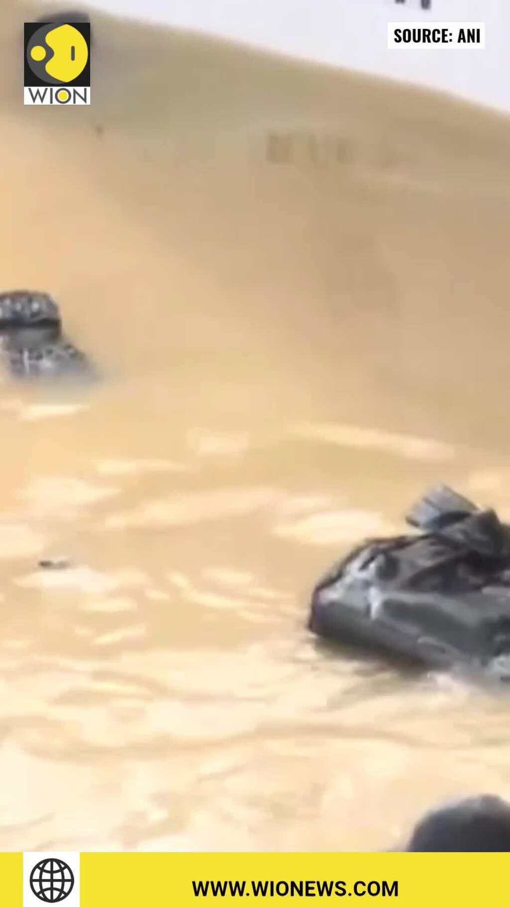 Watch: Drowning man saved by passers-by in India's Bengaluru