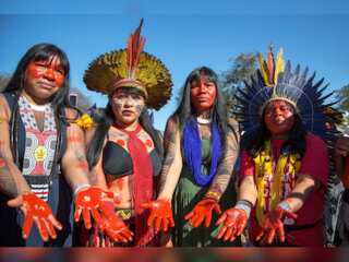 WION Climate Tracker | Brazil indigenous communities urge better rainforest protection
