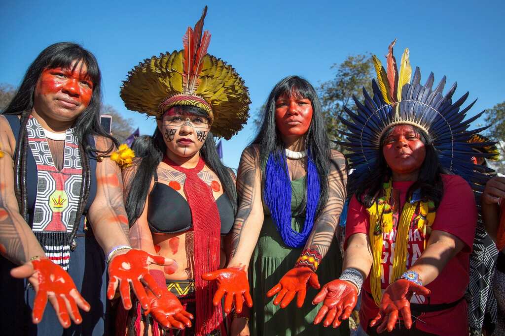 WION Climate Tracker | Brazil indigenous communities urge better rainforest protection
