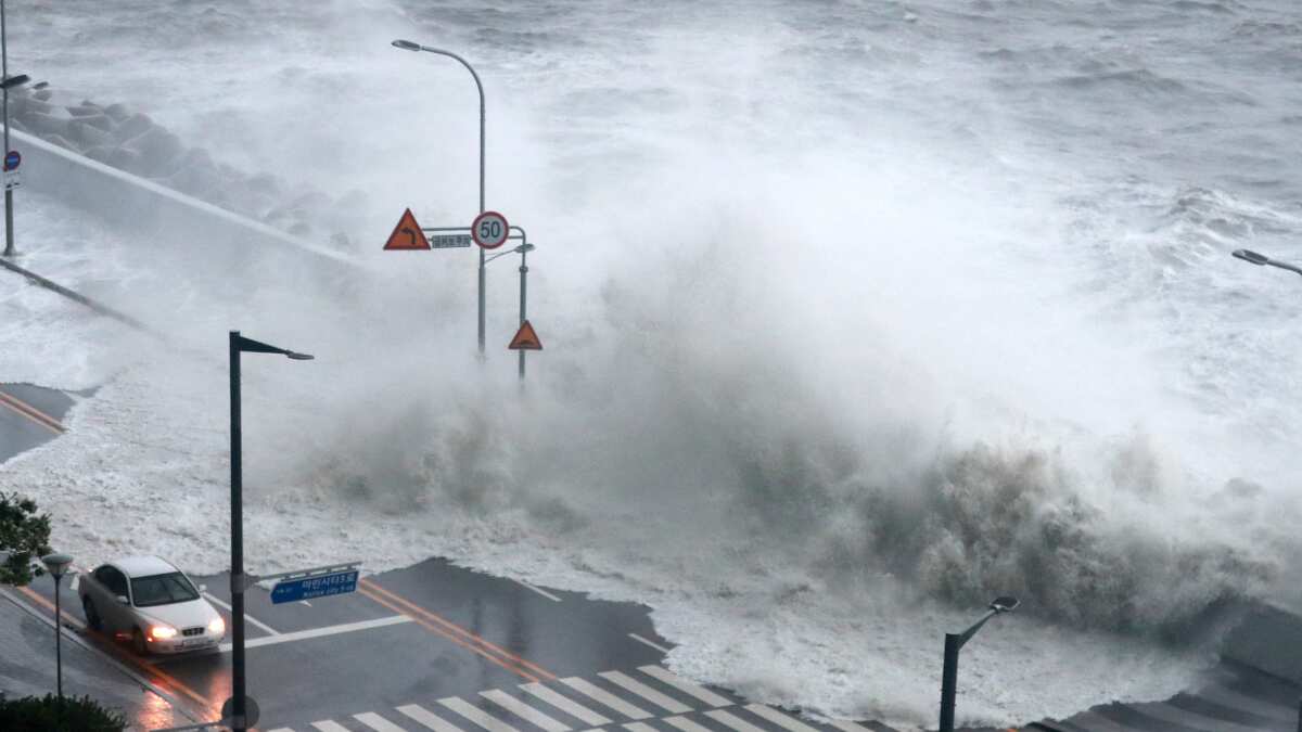 Thousands evacuate as Typhoon Hinnamnor hits South Korea Thousands evacuate as Typhoon Hinnamnor hits South Korea