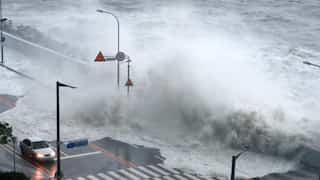 Thousands evacuate as Typhoon Hinnamnor hits South Korea