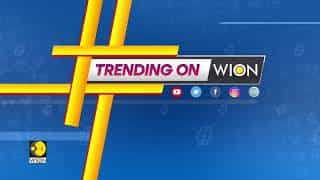 Trending on WION | Meet Japanese man who earns a living by being rented to 'do nothing'