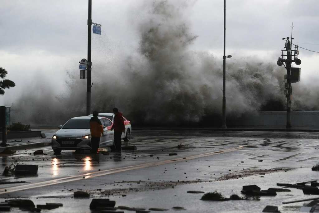 WION Climate Tracker | 20,000 homes without power in S Korea due to Typhoon Hinnamnor