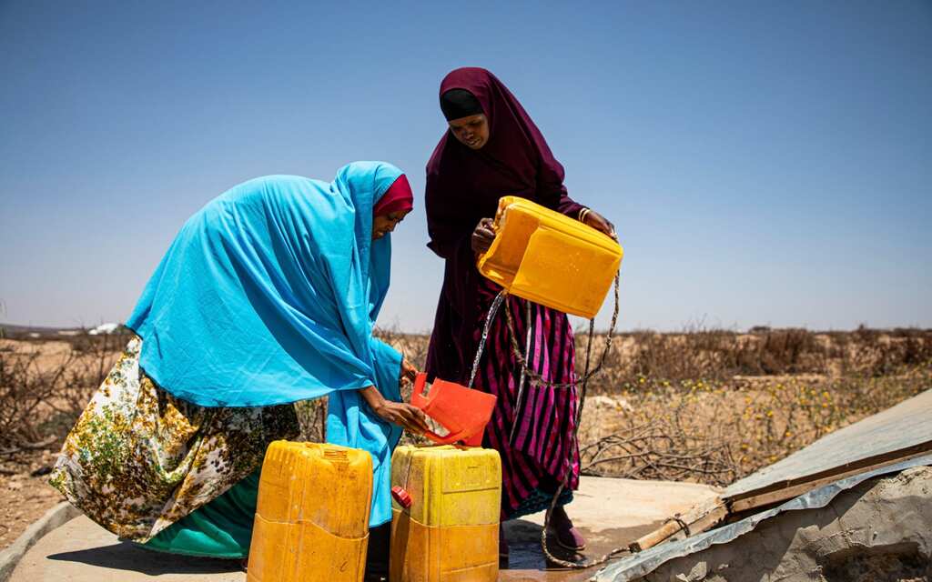 WION Climate Tracker | 5th failed rainy season in Horn of Africa