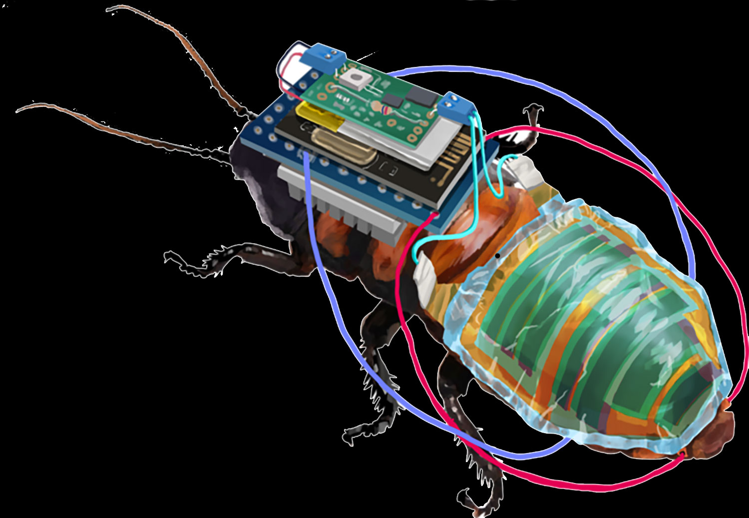 Micro Controlled Insects Tech Talk: Japanese scientists unveil remote-controlled Cockroaches ...