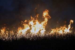 Global warming to fuel heatwaves, wildfires, triggering more air pollution: UN