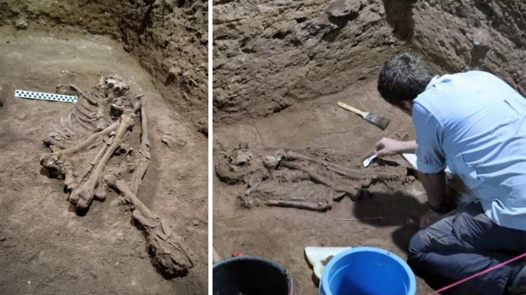 Ancient Borneo skeleton indicates amputation surgery 31,000 years ago