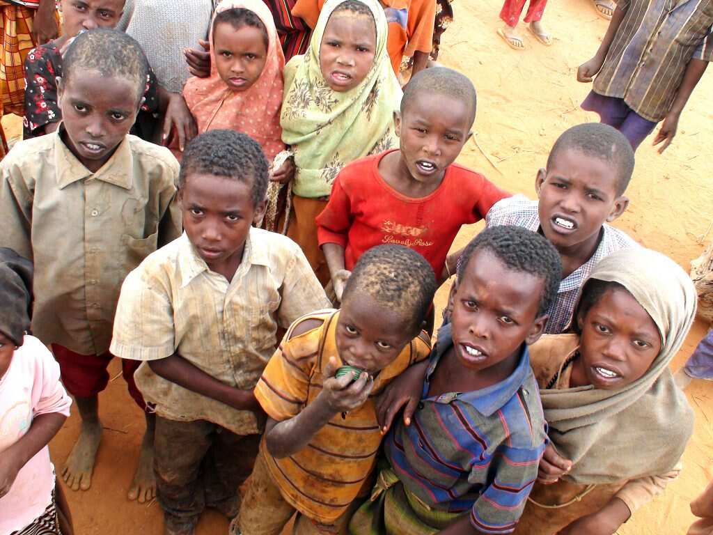 WION Climate Tracker | UNICEF warns of disease outbreak among children in Somalia