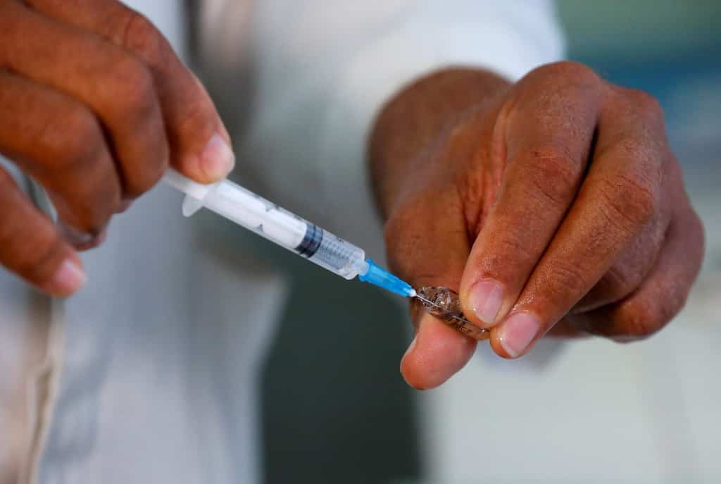 Malaria vaccine with 'world-changing' potential developed, gives 80% protection
