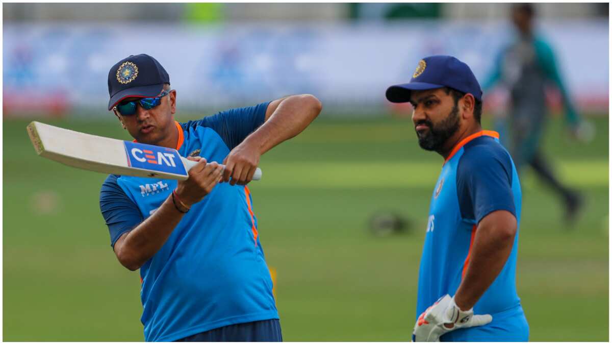 'Because we lost few games, doesn't mean we're a terrible team'- Rahul Dravid defends under-fire Team India 'Because we lost few games, doesn't mean we're a terrible team'- Rahul Dravid defends under-fire Team India