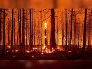 WION Climate Tracker| Study: 1.1°C can hamper tipping points; climate change needs urgent attention