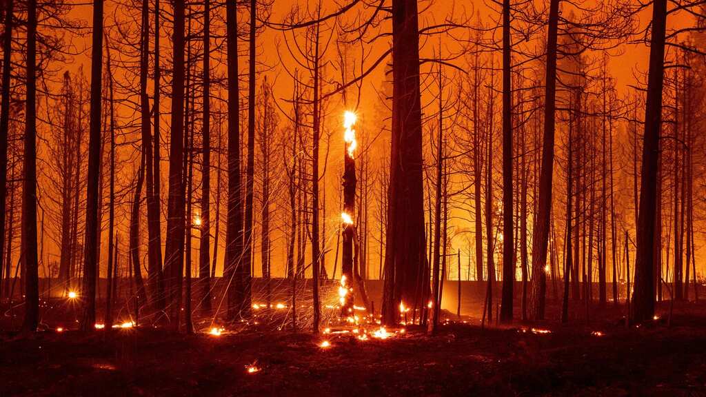 WION Climate Tracker| Study: 1.1°C can hamper tipping points; climate change needs urgent attention