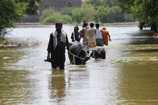 Pakistan puts flood losses at $30 billion, UN chief calls for 'massive' help